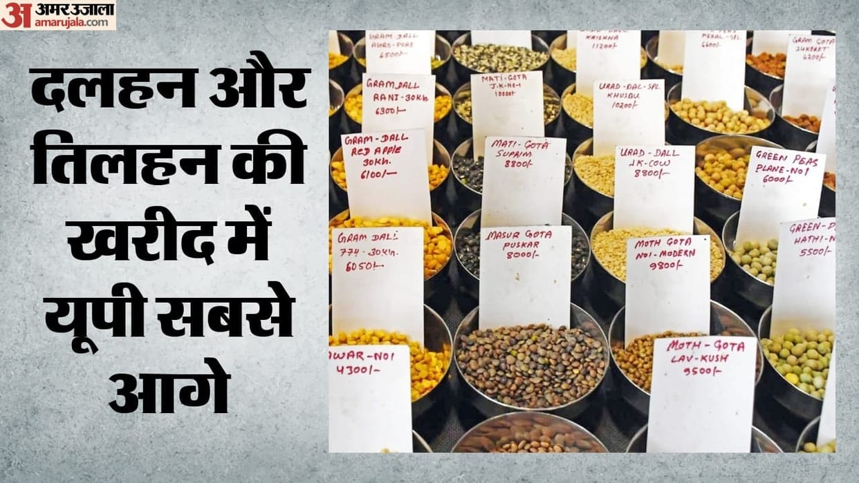Major relief for farmers: Procurement of pulses oilseeds approved in four states; UP biggest beneficiary