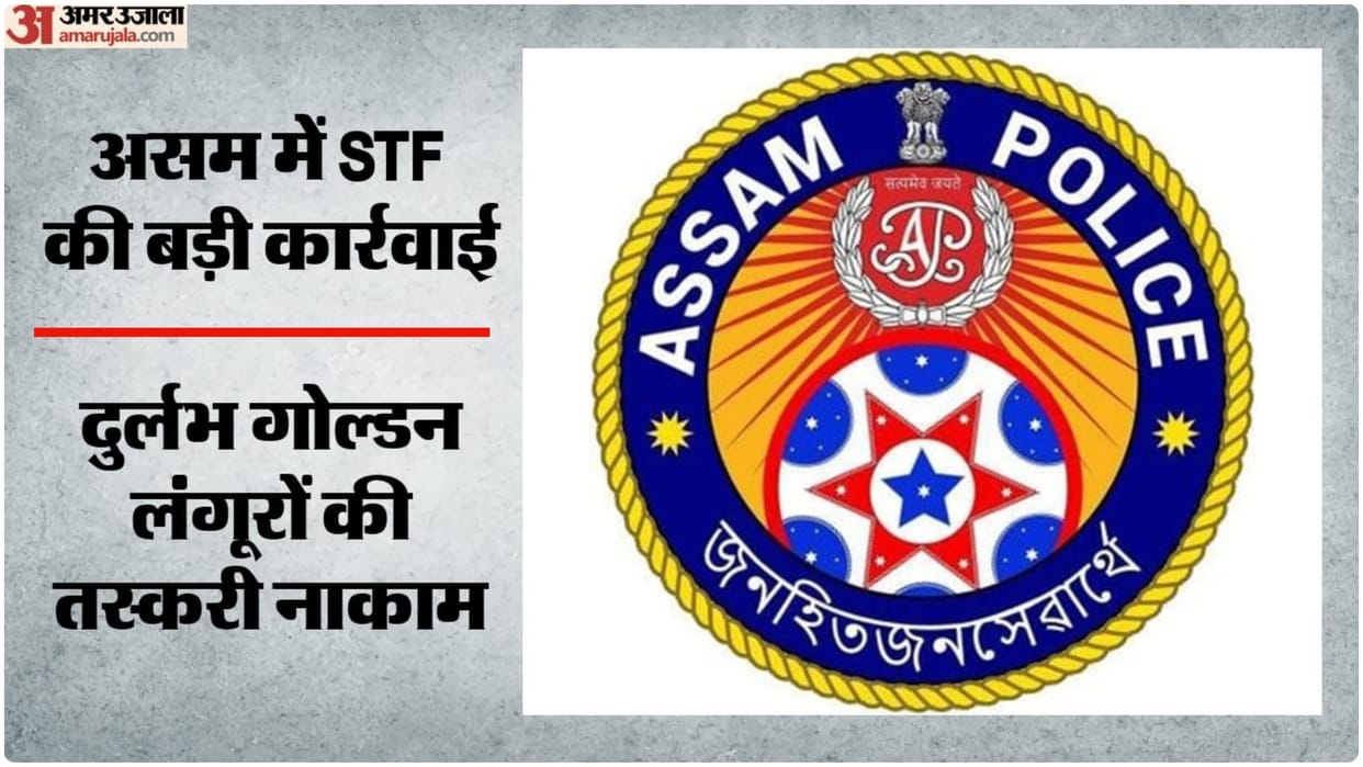 Assam Police busts wildlife trafficking racket; 9 held with 8 Golden Langurs