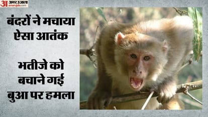 बंदरों के आतंक