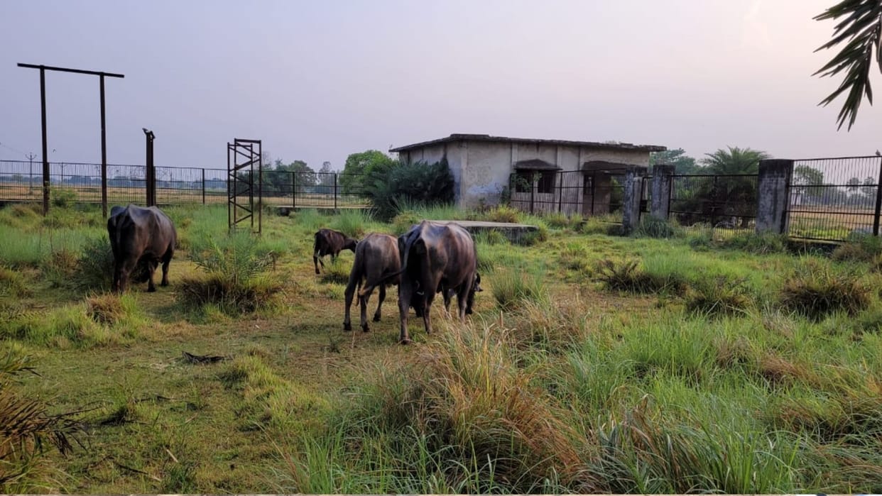 Khakhaichkhor electricity substation in Chillupar, Gorakhpur, has not been completed even after 16 years