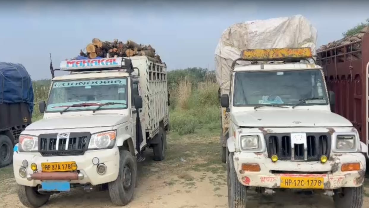 Major action by Una Forest Department: 10 vehicles loaded with illegal forest produce seized during an overnig