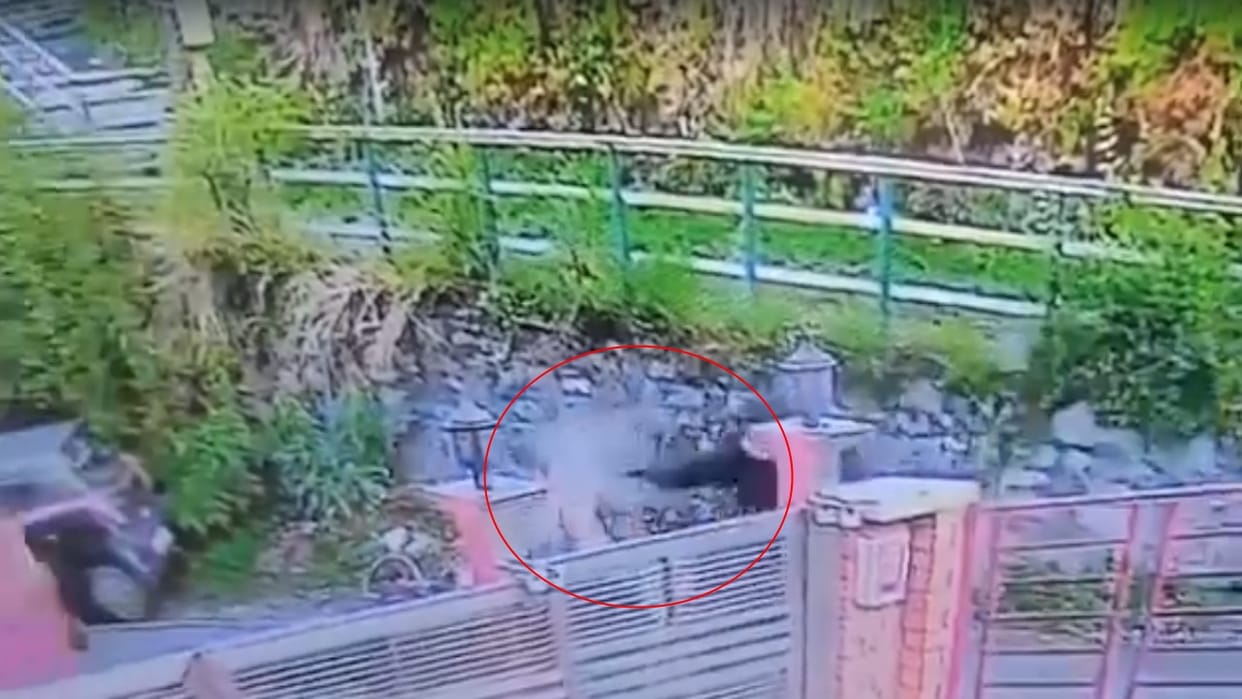 CCTV footage of the Manisha murder case has surfaced; masked assailants shot her in the head.