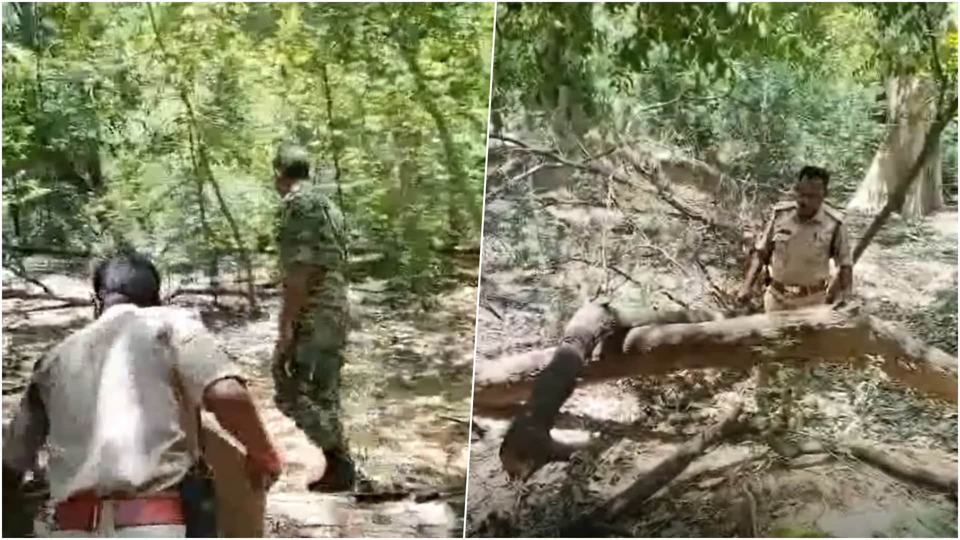 बीएसएफ अकादमी परिसर से चंदन चोरी