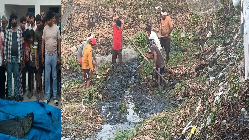 Crocodile caught from pond in Hasayan Hathras