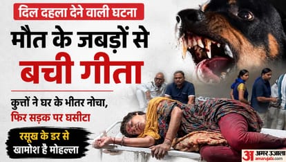 Kanpur Three ferocious dogs kept at home of Congress leader brother mauled woman and dragged her onto street