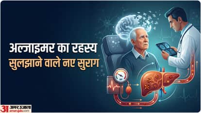 alzheimer and dementia risk factors how low blood pressure increasing the risk