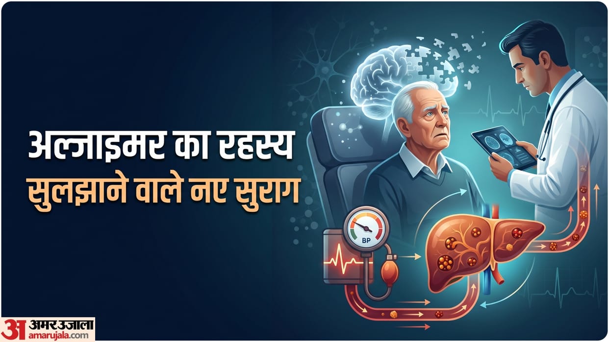 alzheimer and dementia risk factors how low blood pressure increasing the risk
