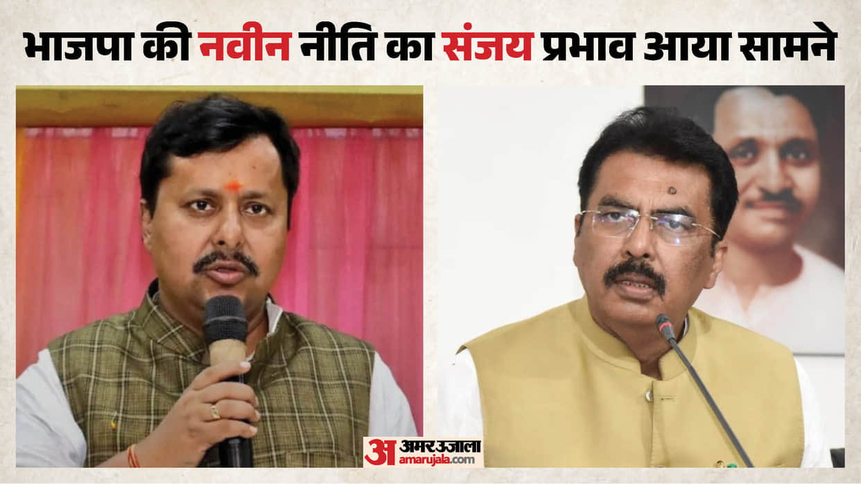 bjp bihar divided 38 districts of bihar to five bjp mla strengthening bjp party bihar news