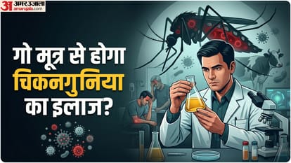 चिकनगुनिया कैसे ठीक होगा