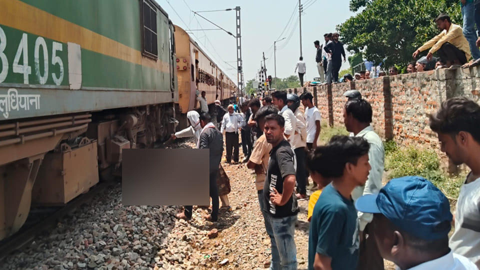 Fatalities on the Track: Two Cattle Killed in Kannauj; Rail Traffic Disrupted for an Hour
