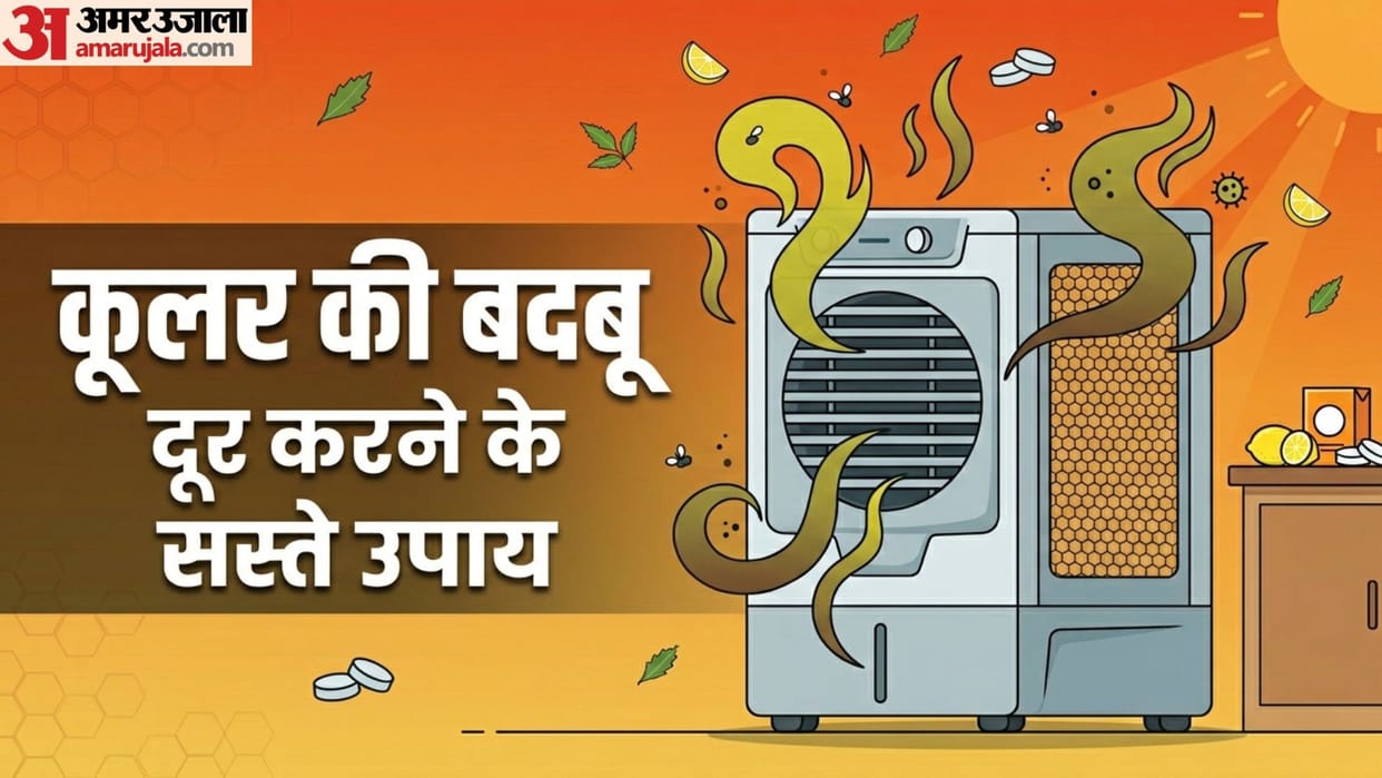 Say Goodbye to Cooler Bad Smell Add These Two Kitchen Ingredients To Keep Your Room Fresh and Fragrant
