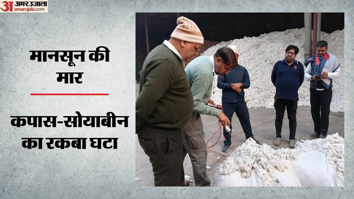 monsoon delay hits crops cotton soybean sowing lags textile industry costs may rise