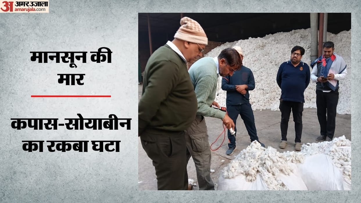 monsoon delay hits crops cotton soybean sowing lags textile industry costs may rise