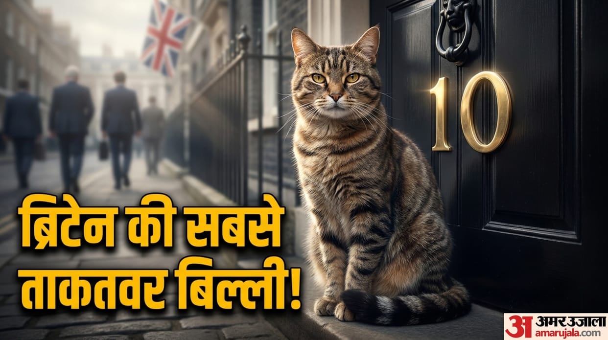 larry the cat 10 downing street chief mouser viral story