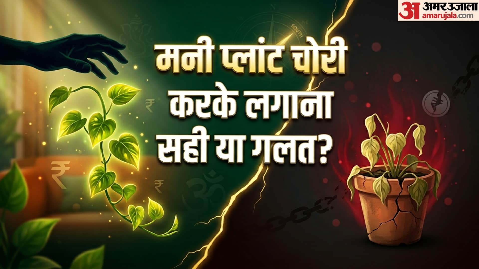 मनी प्लांट चोरी करके लगाना सही या गलत?