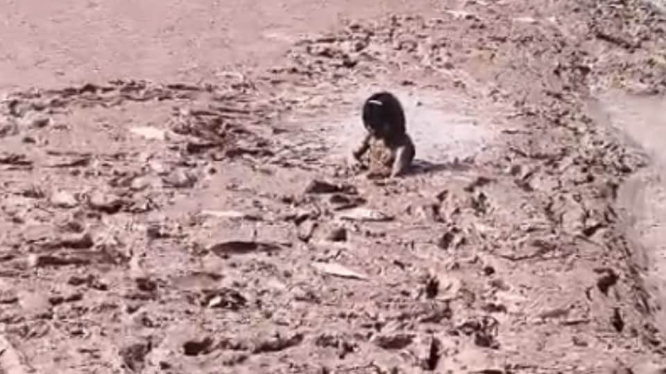 Panchkula girl trapped in marshy bed of Kaushalya Dam