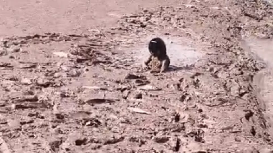 Panchkula girl trapped in marshy bed of Kaushalya Dam
