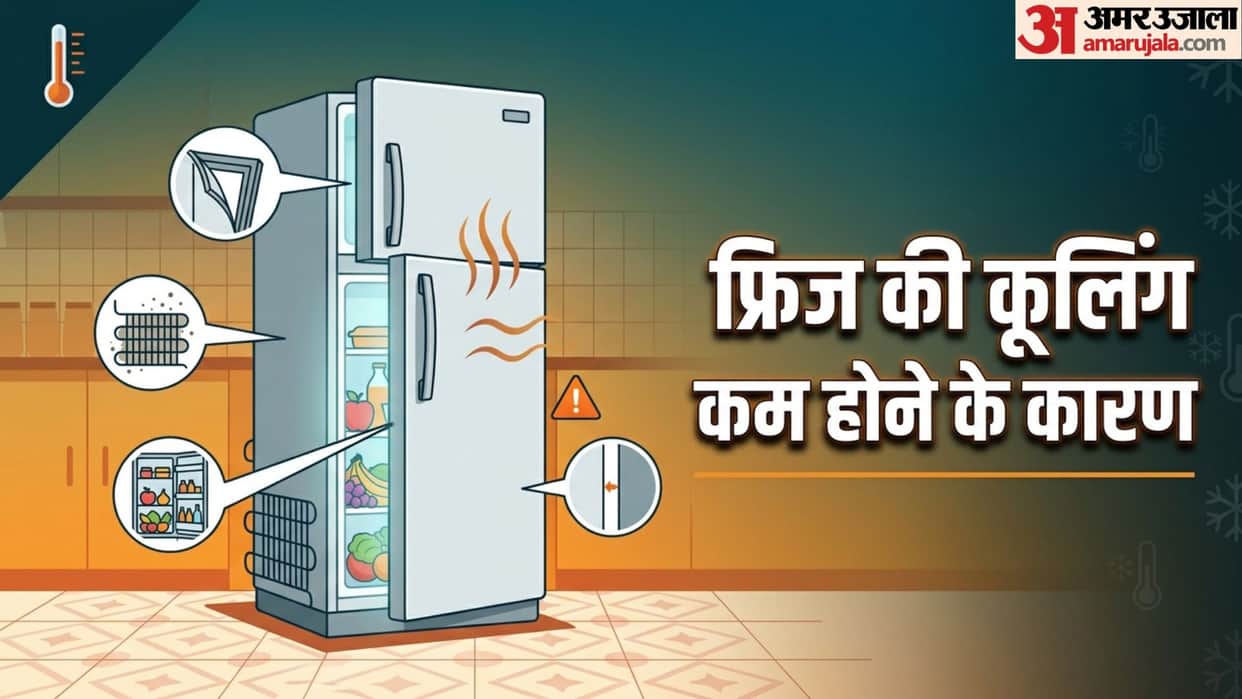 Refrigerator Cooling Tips: Check These Things Before Calling a Mechanic This Summer