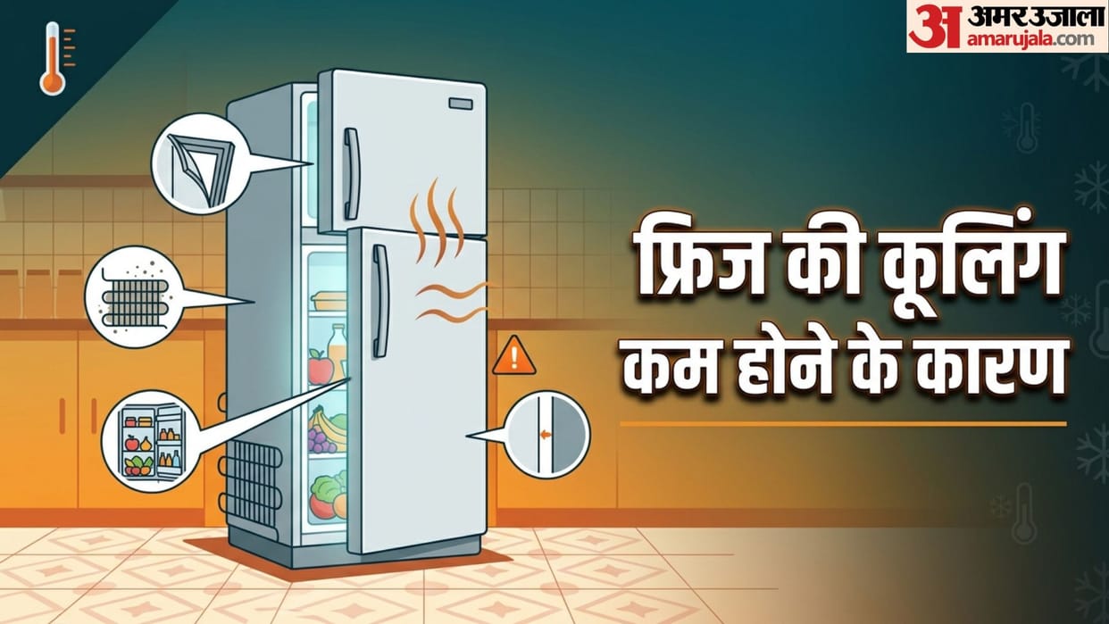 Refrigerator Cooling Tips: Check These Things Before Calling a Mechanic This Summer