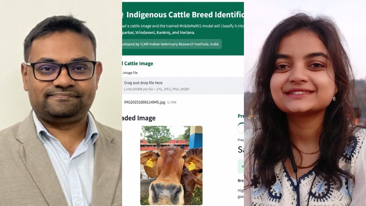 Photo to reveal cow breed IVRI scientists develop AI identification platform