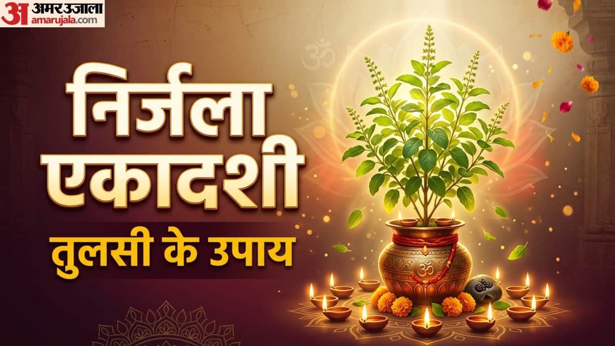 Nirjala Ekadashi Tulsi Ke Upay tulsi remedies on nirjala ekadashi to get blessings