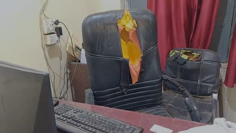 Dog Locked Inside PWD Office Overnight, Tears Apart Chairs in Panic