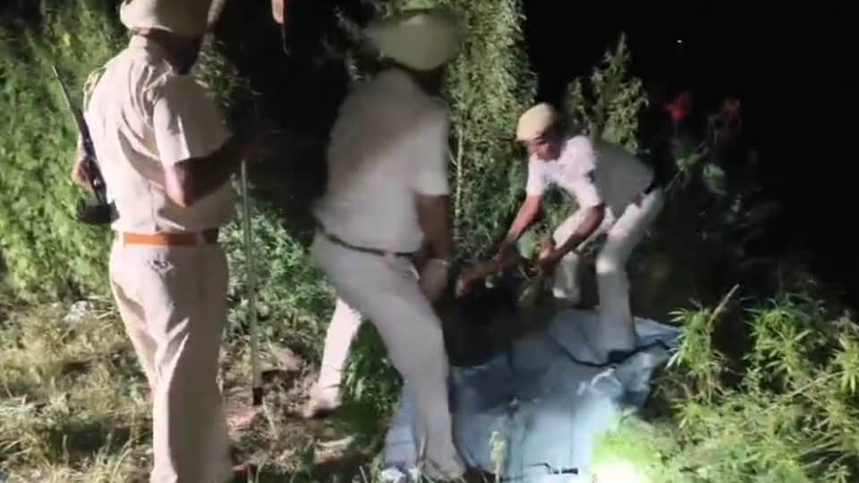 बटाला में तिहरा हत्याकांड