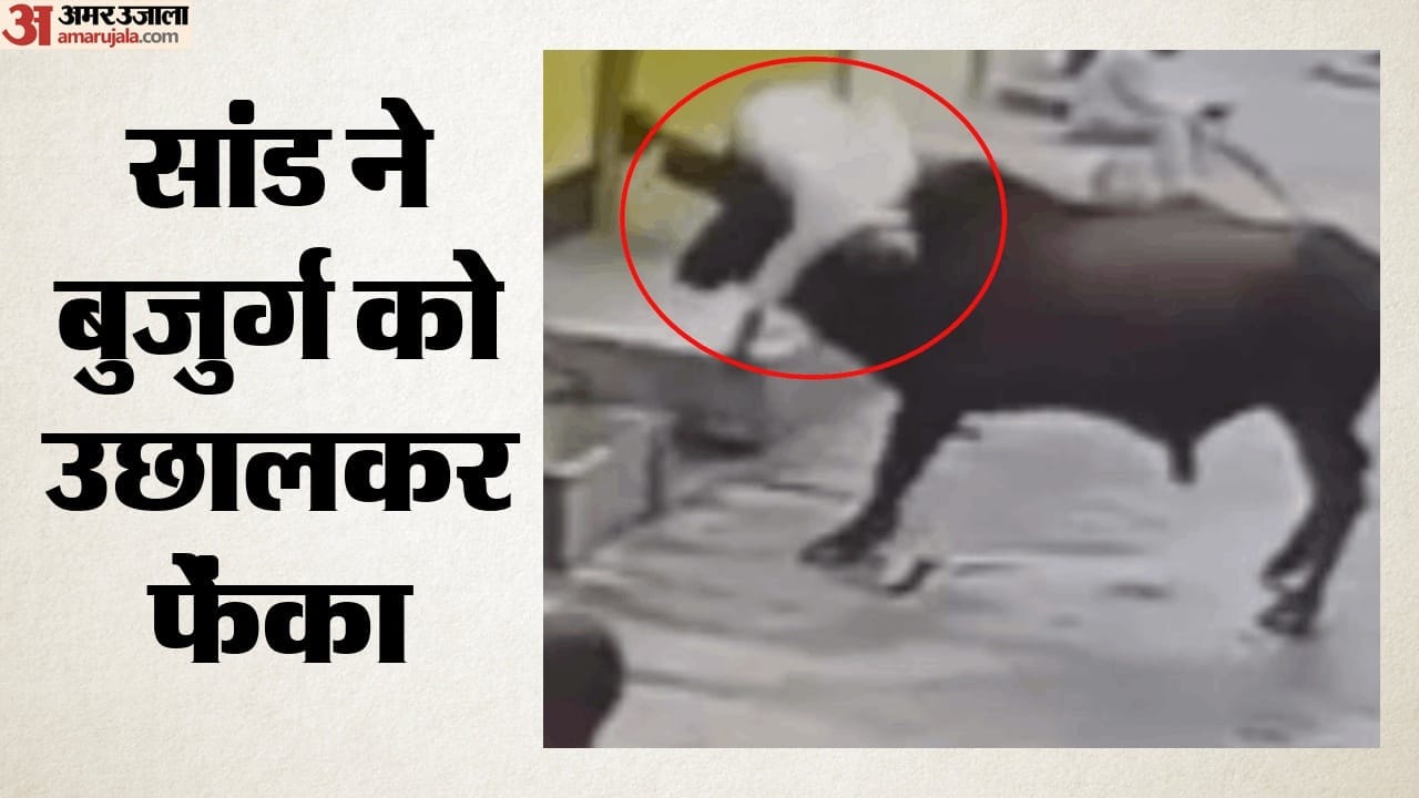 सांड का हमला