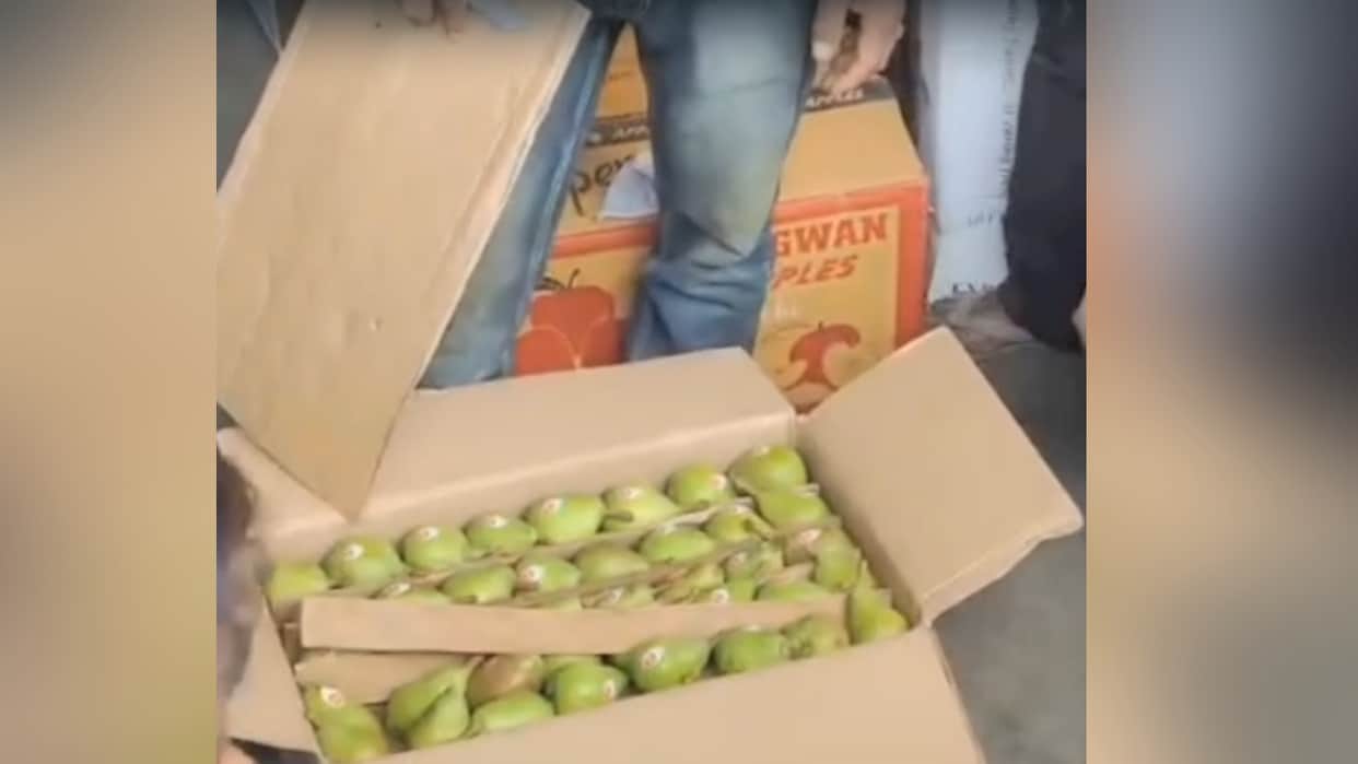 At the Bhatta Kufar fruit market, 2,180 boxes of pears were sold, while Tideman apples fetched 2,100 per box