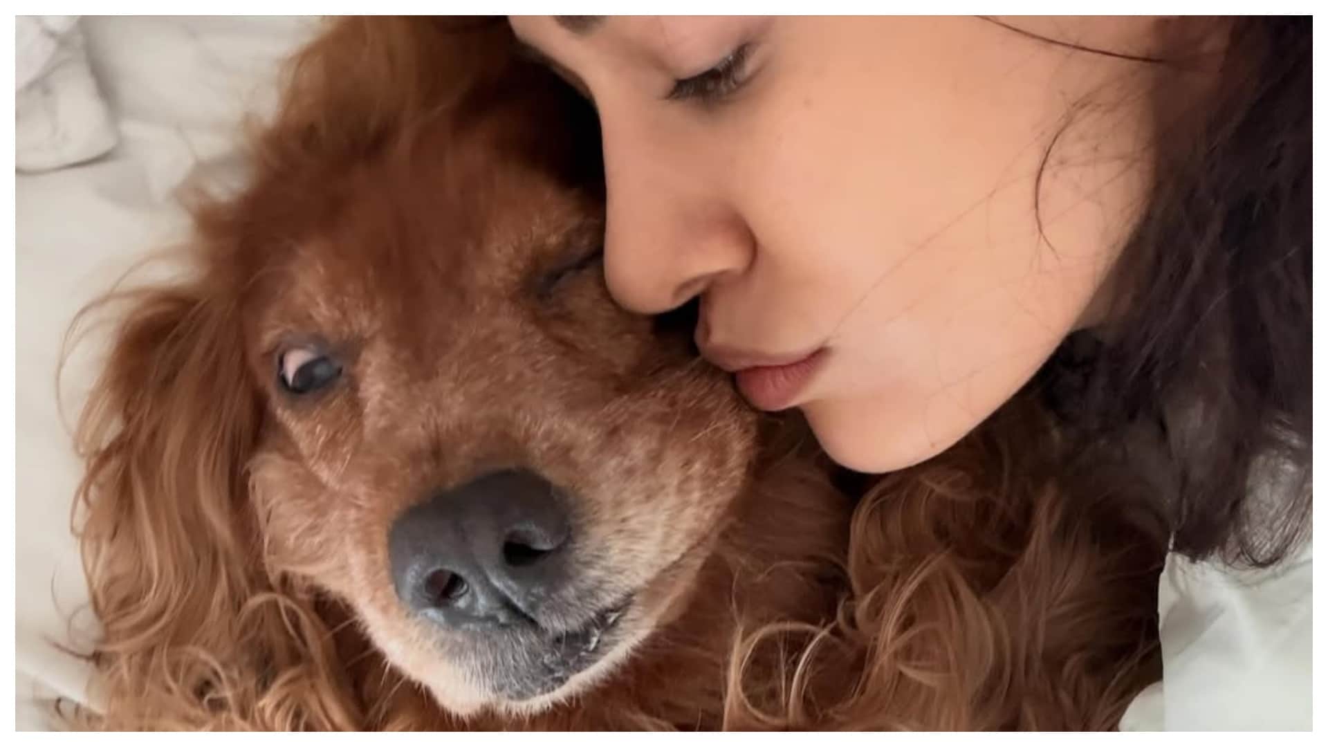 Disha Patani mourns loss of beloved pets Bella and Jasmine shares emotional tributes