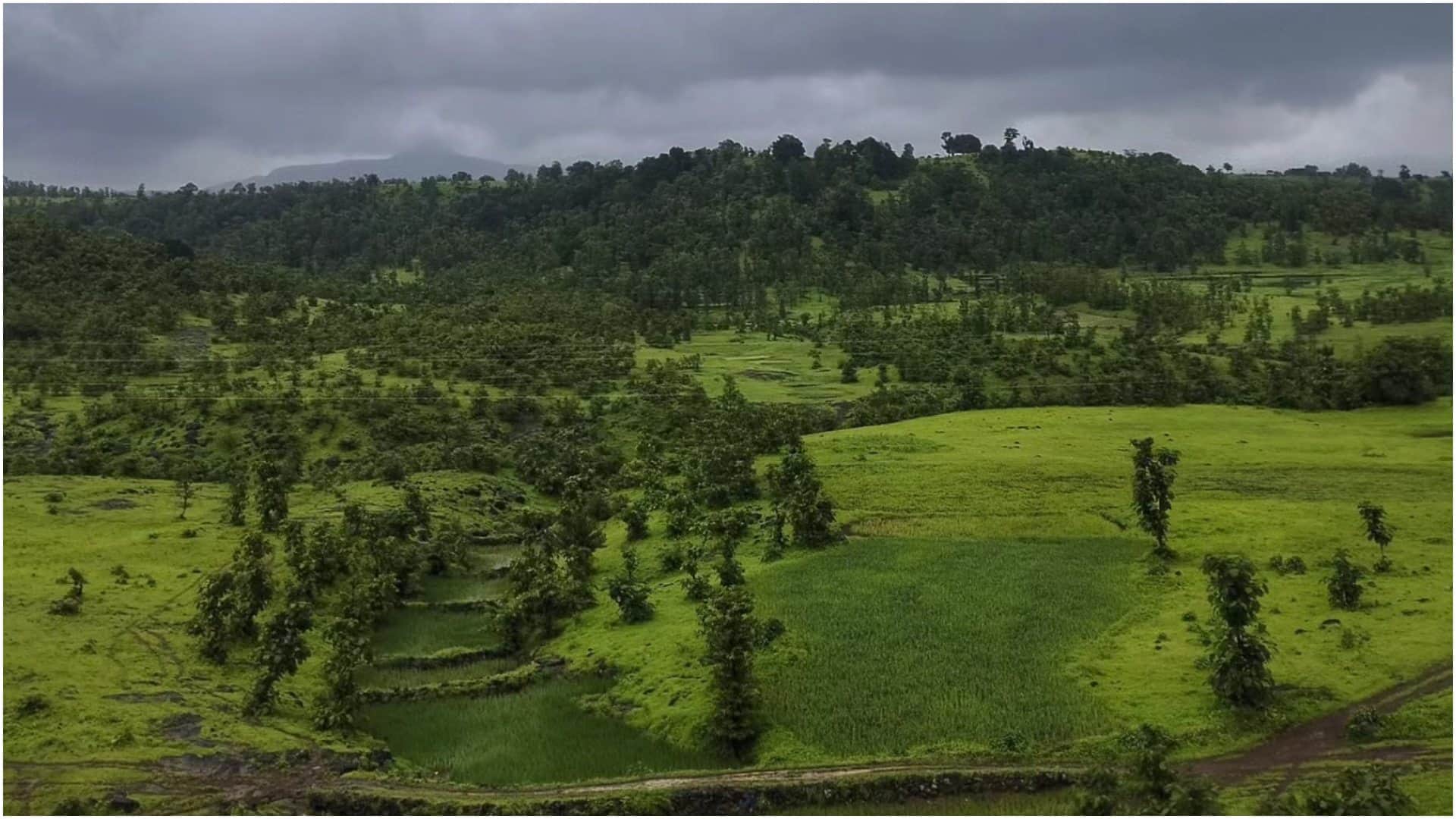 Monsoon Trip Best Places To Visit In Maharashtra July Me Ghumne Ki Jagah