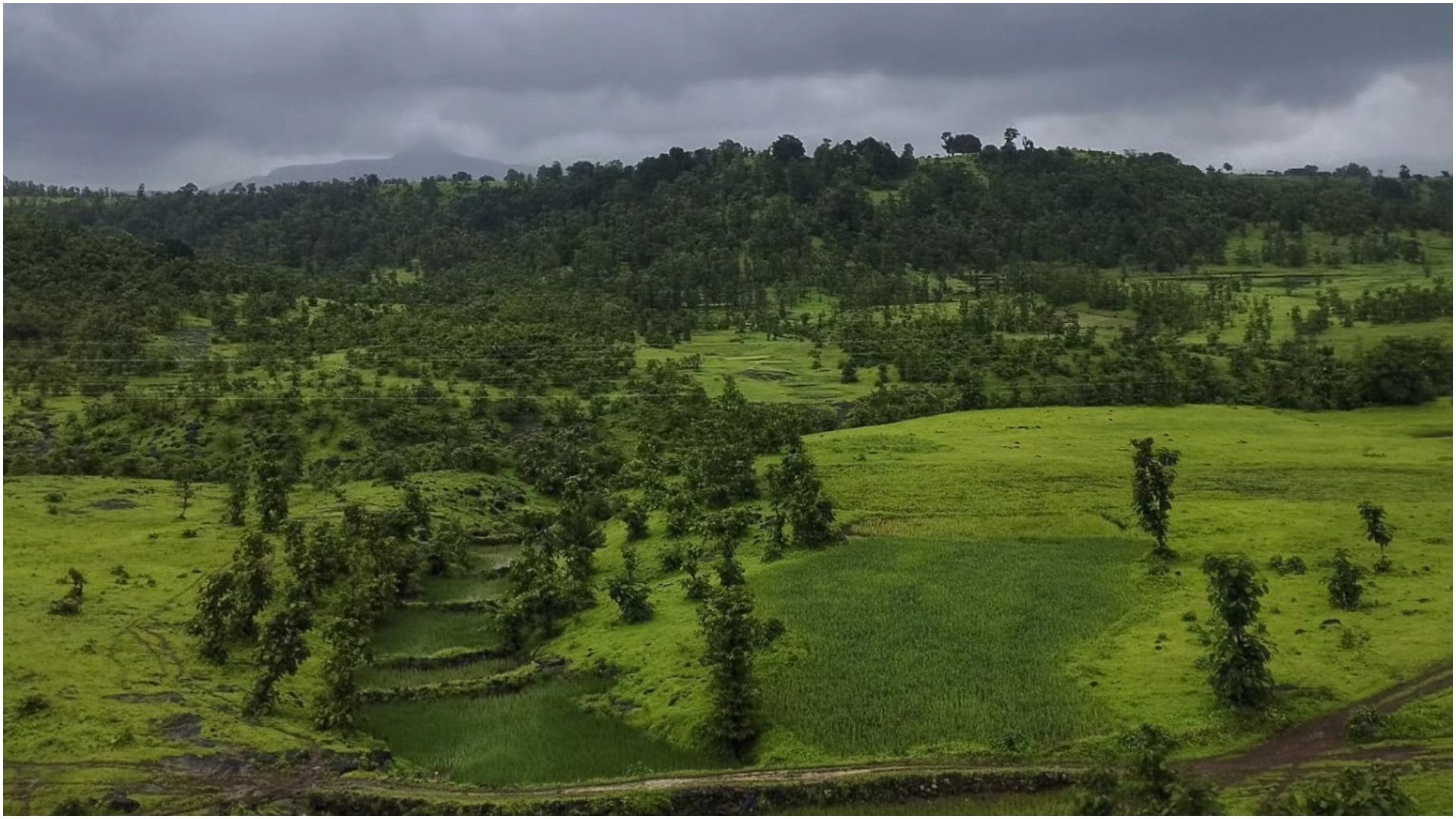 Monsoon Trip Best Places To Visit In Maharashtra July Me Ghumne Ki Jagah