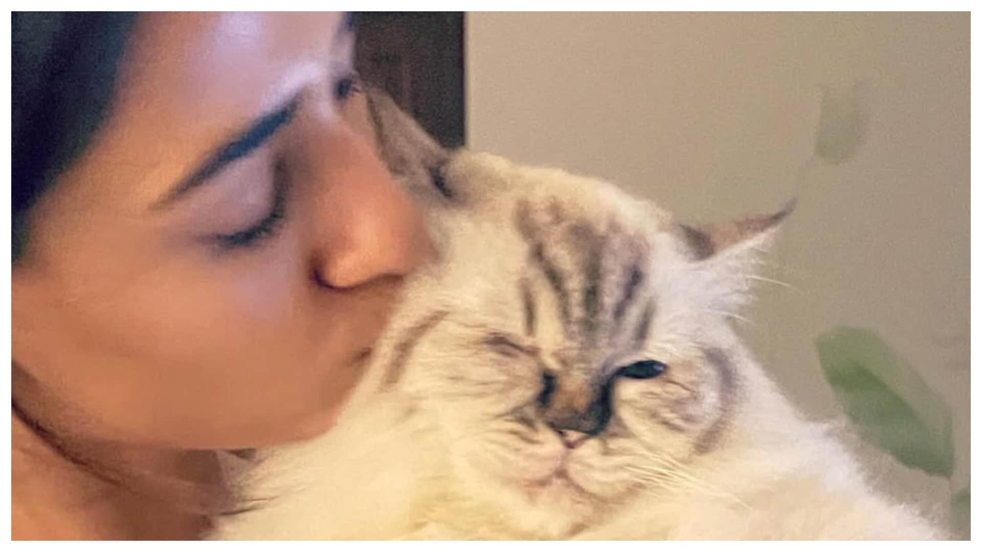 Disha Patani mourns loss of beloved pets Bella and Jasmine shares emotional tributes