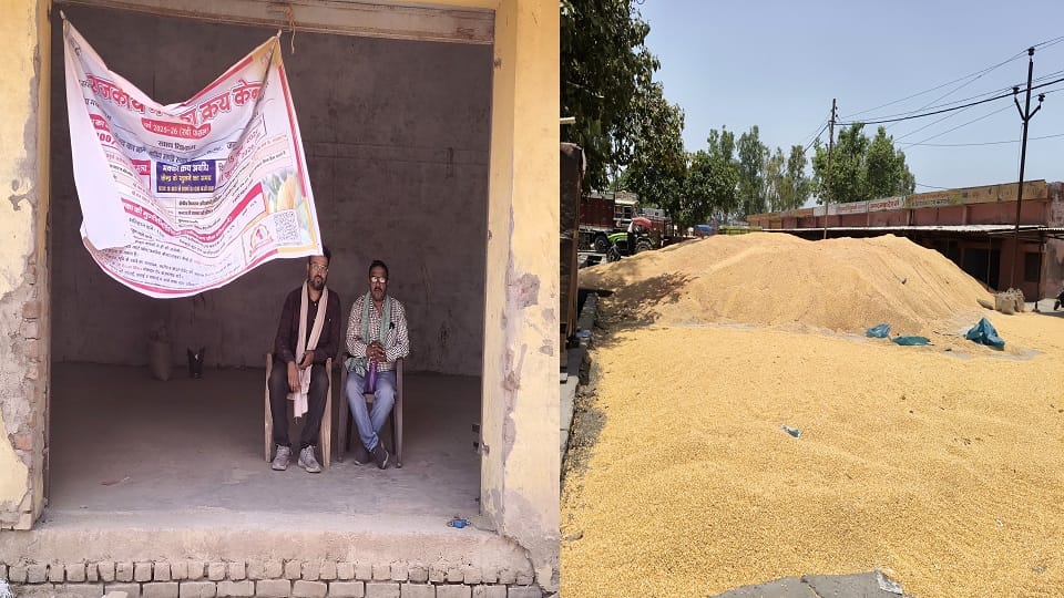 Government procurement of maize in Hathras