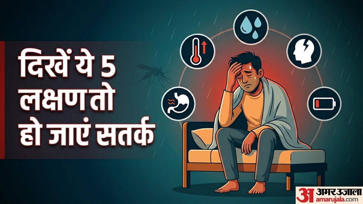 5 symptoms of malaria malaria ke lakshan aur upchar
