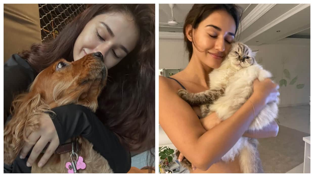 Disha Patani mourns loss of beloved pets Bella and Jasmine shares emotional tributes