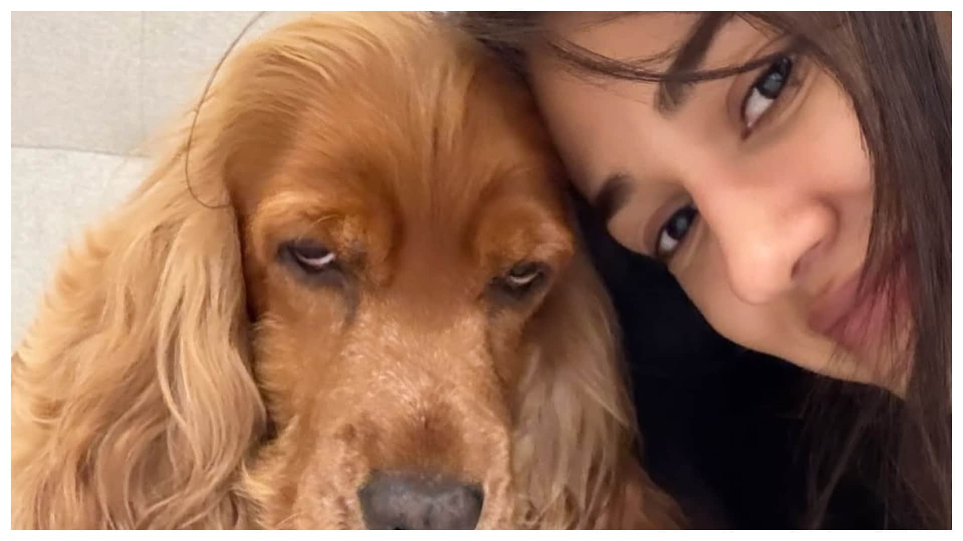 Disha Patani mourns loss of beloved pets Bella and Jasmine shares emotional tributes