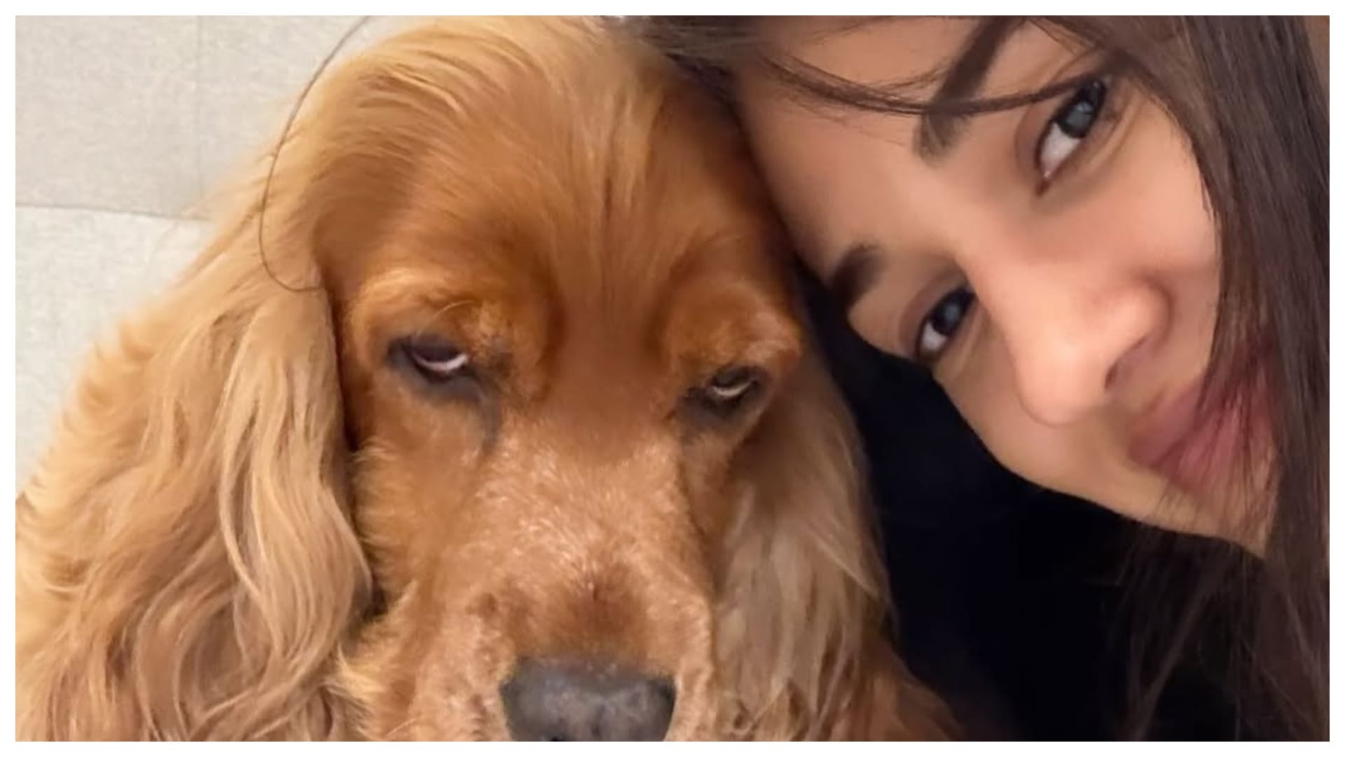 Disha Patani mourns loss of beloved pets Bella and Jasmine shares emotional tributes