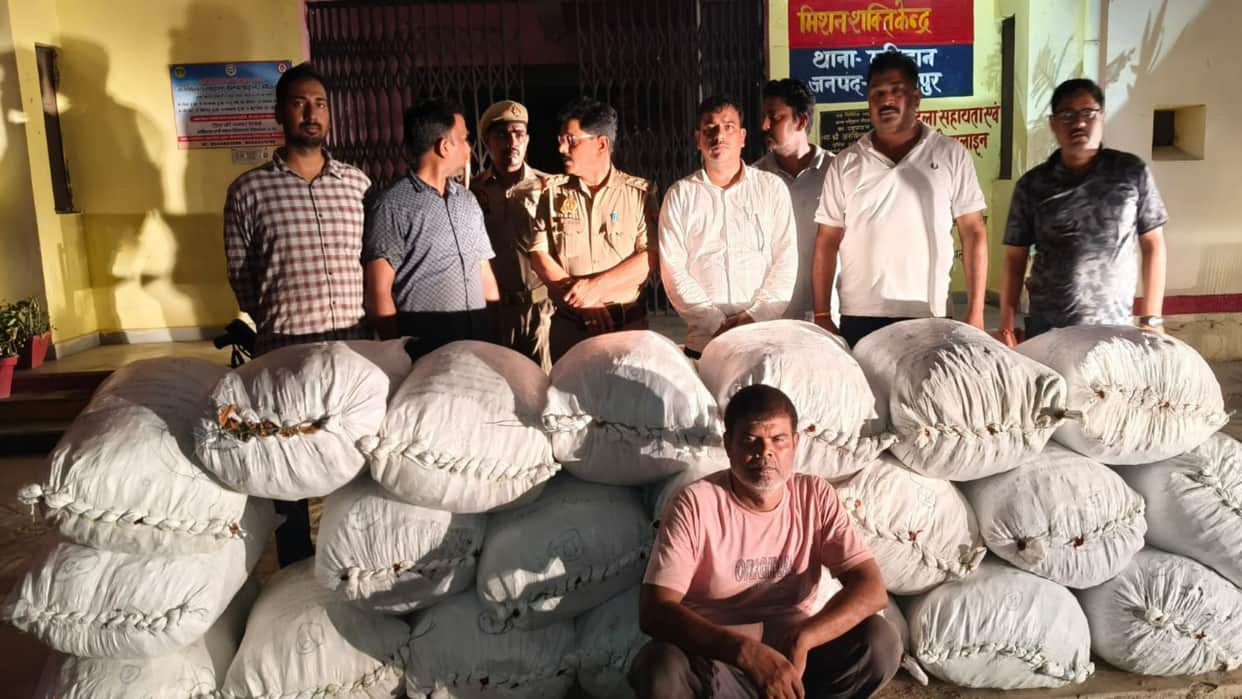 STF seizes a consignment of 439 quintals of cannabis in Mirzapur; valued at ₹10 crore.