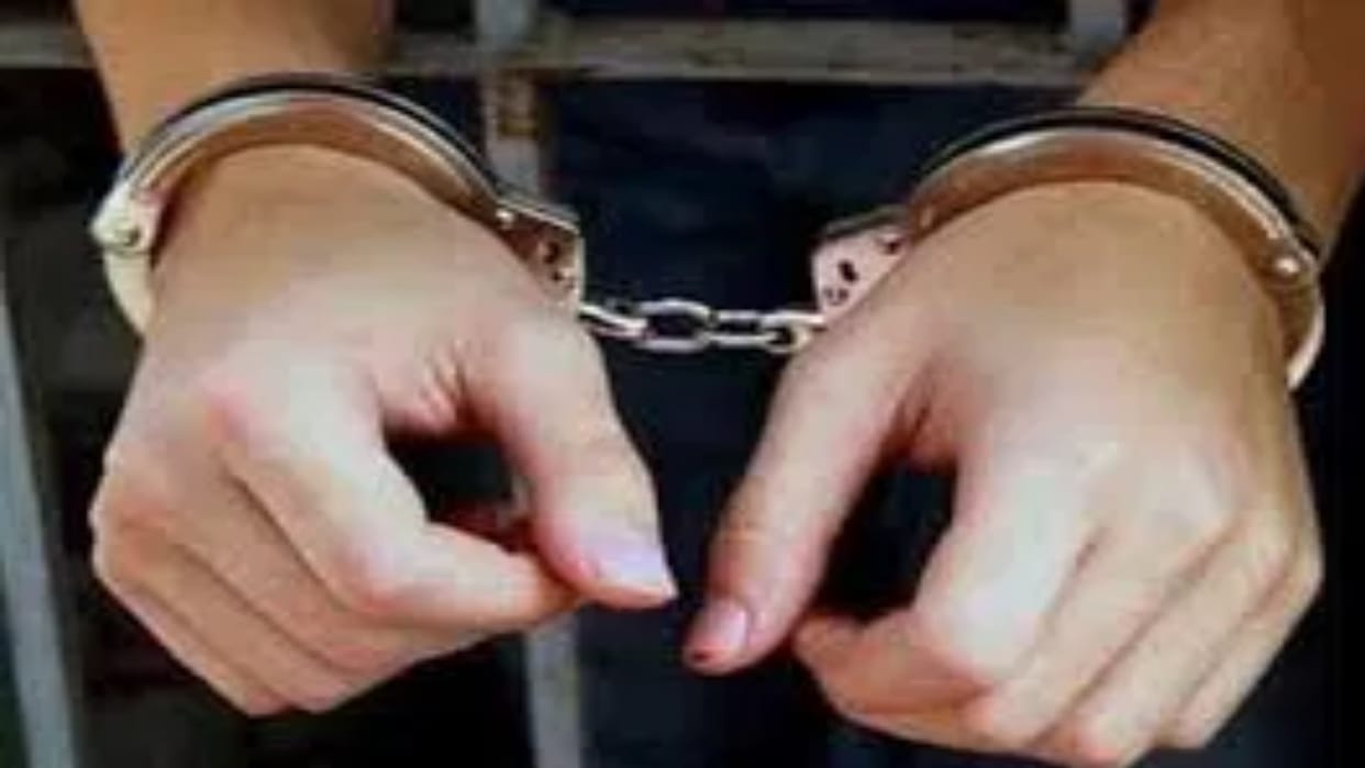 Rajasthan: 4 smugglers arrested, poppy husk worth rs 88 lakh seized