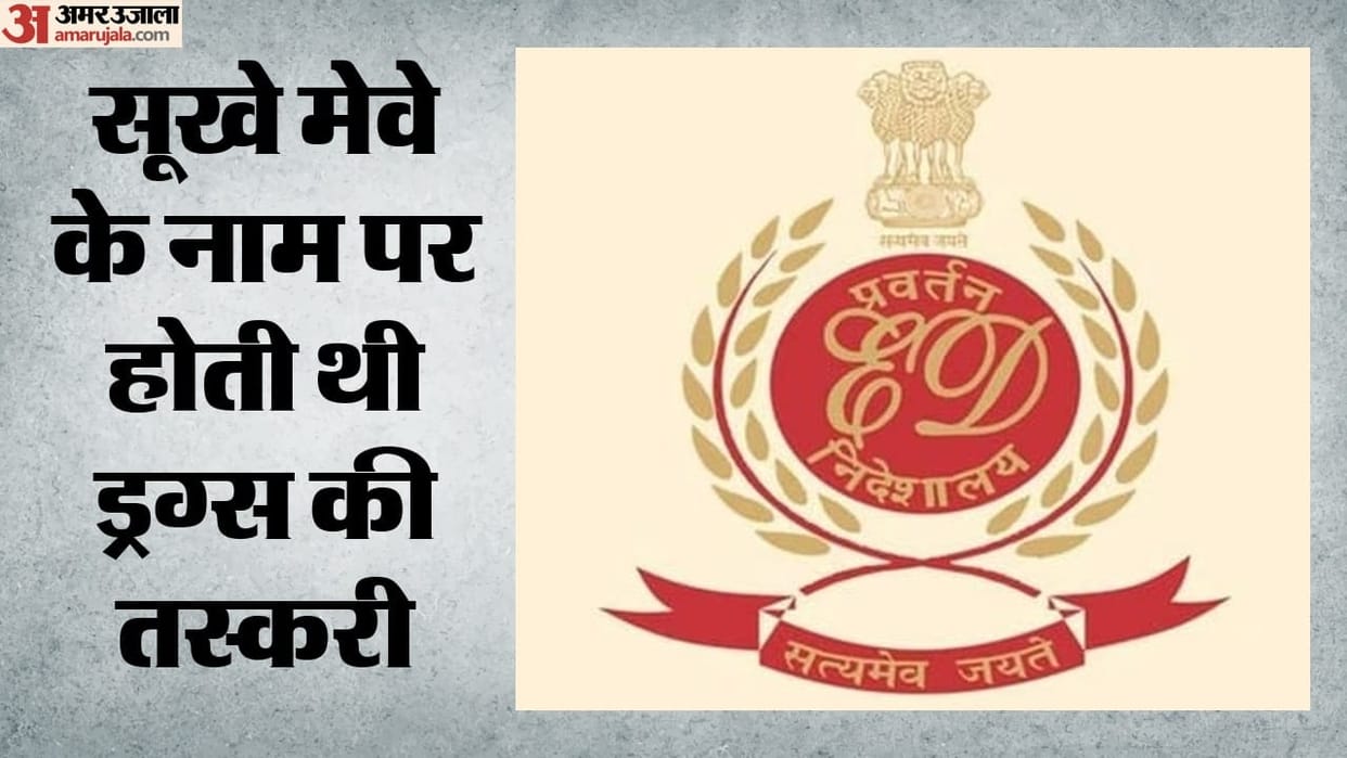 Mundra Port drugs case Delhi businessman invested drug proceeds in nightclubs ED alleges