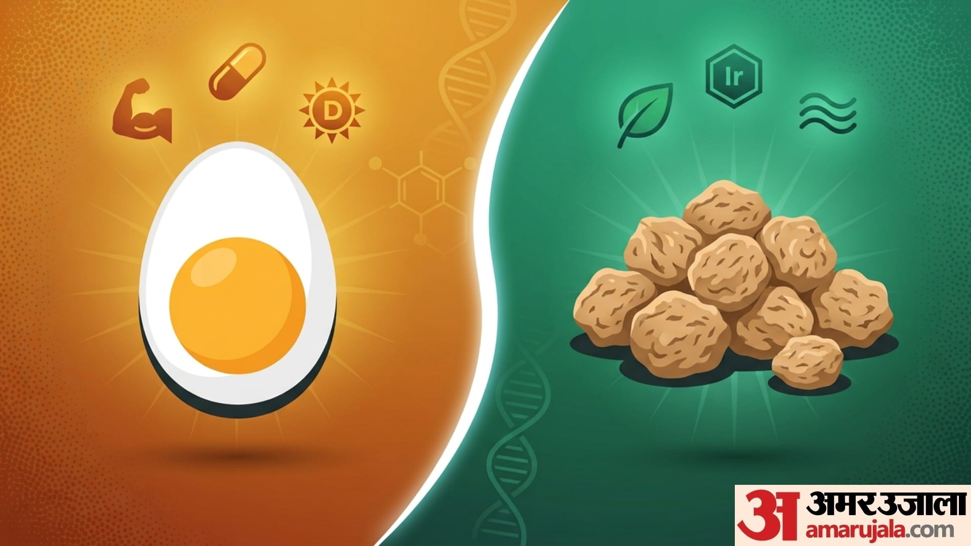 Egg vs Soya Chunks Which is better protein source for muscle growth disprj