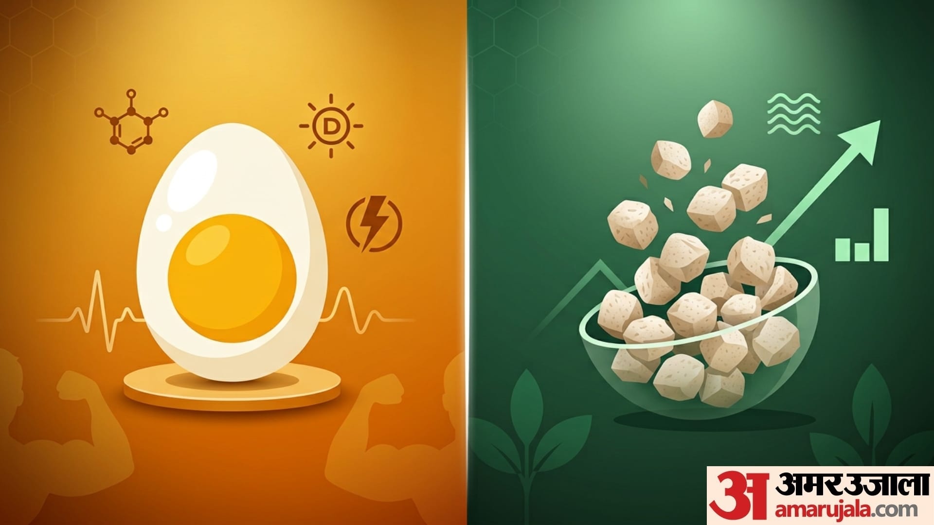 Egg vs Soya Chunks Which is better protein source for muscle growth disprj