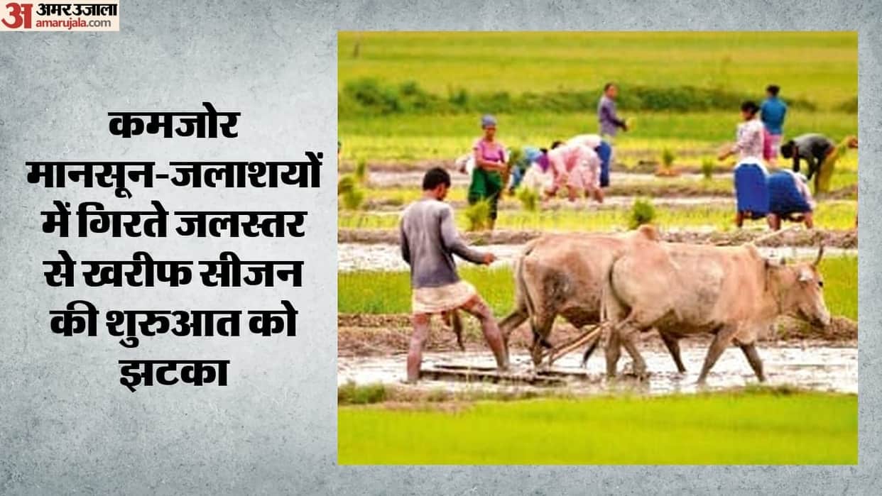 kharif crop sowing drops up to 85 percent in Maharashtra and Telangana due to weak monsoon