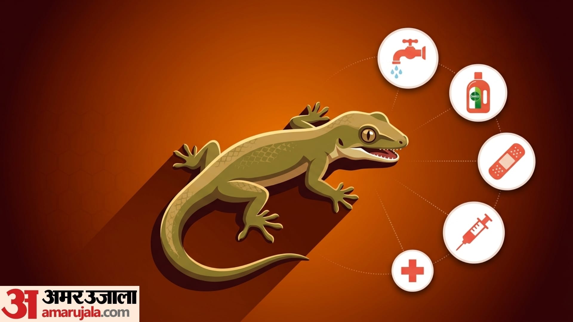 what happens if lizard bite humans chipkali ke katne par kya kare disprj