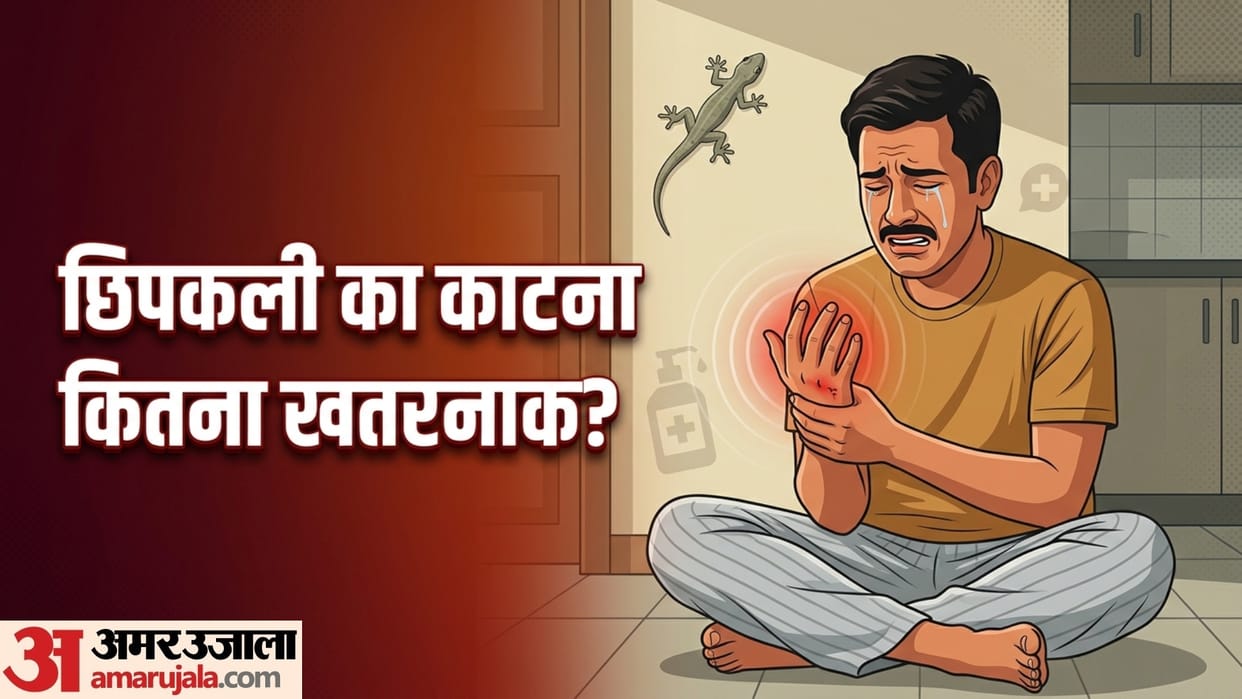 what happens if lizard bite humans chipkali ke katne par kya kare disprj