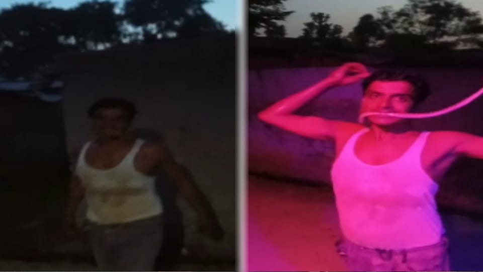 UP: Man Hospitalised After Putting Dead Snake in His Mouth for Reel in Bijnor