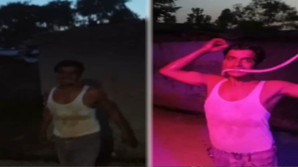UP: Man Hospitalised After Putting Dead Snake in His Mouth for Reel in Bijnor