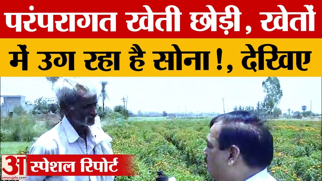 हरियाणा का अनोखा गांव बीड़ सुजरा, जहां अनाज नहीं फूलों की खेती से बदल गई किसानों की किस्मतBeed Sujra