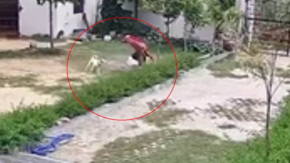 CCTV में कैद हुई घटना